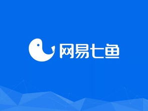 有Logo就夠了嗎？輔助圖形在數字文化創意內容應用服務中的關鍵作用